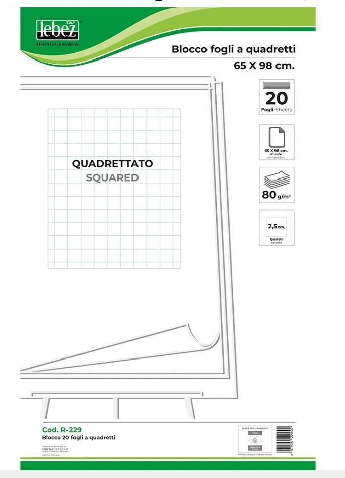 BLOCCO LAVAGNA 20FG A QUADRETTI DA 80GR 65x98CM