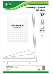 BLOCCO LAVAGNA 20FG A QUADRETTI DA 80GR 65x98CM