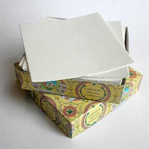 MEDIOEVALIS Cartoncino cm8x13 pz100 SEMPLICE