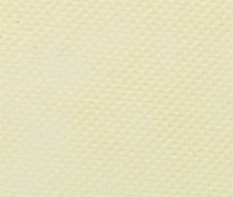 NASTRI TNT mm35x50mt AVORIO        ETOFFE