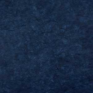 Carta RISO 93x63 44.Blu Scuro f10