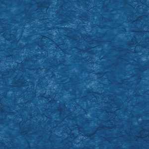 Carta RISO 93x63 45.Avio f10