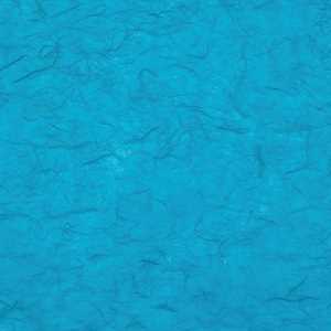 Carta RISO 93x63 46.Turchese f10