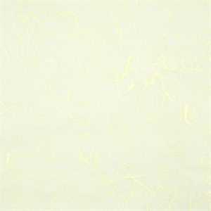 Carta RISO 93x63 50.giallino f10