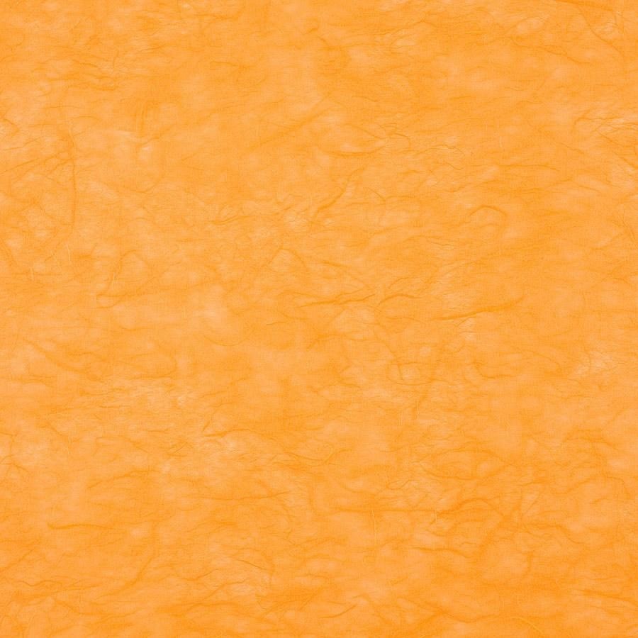 Carta RISO 93x63 57.Arancione f10