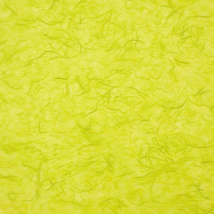 Carta RISO 93x63 62.V.Chiaro f10