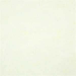 Carta RISO 93x63 63.Verdinof10