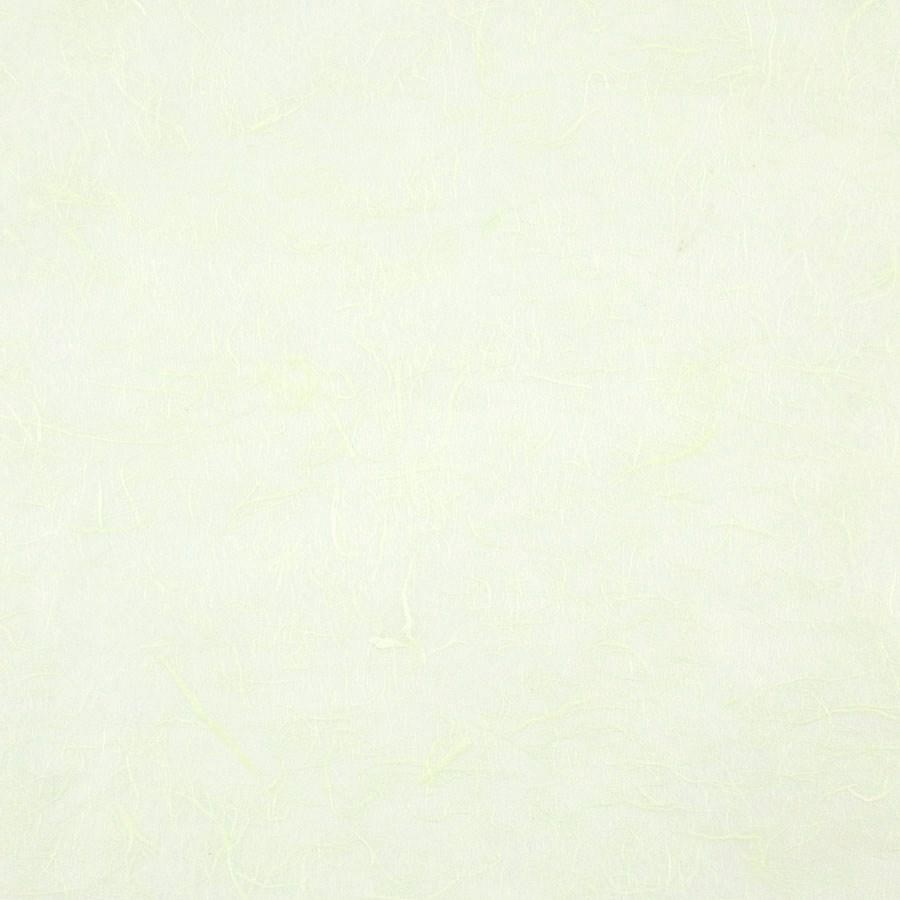 Carta RISO 93x63 63.Verdinof10