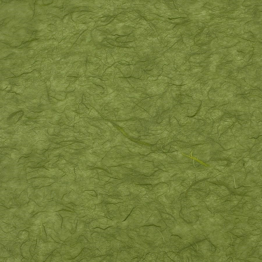 Carta RISO 93x63 66.Verde f10