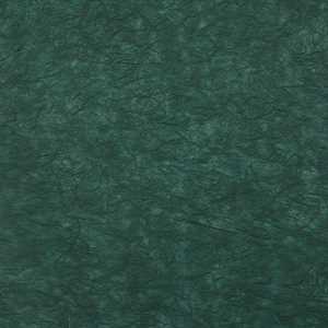 Carta RISO 93x63 68.Verde f10