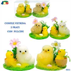 CONF. TRASP.PULCINI CON 2 PRATI