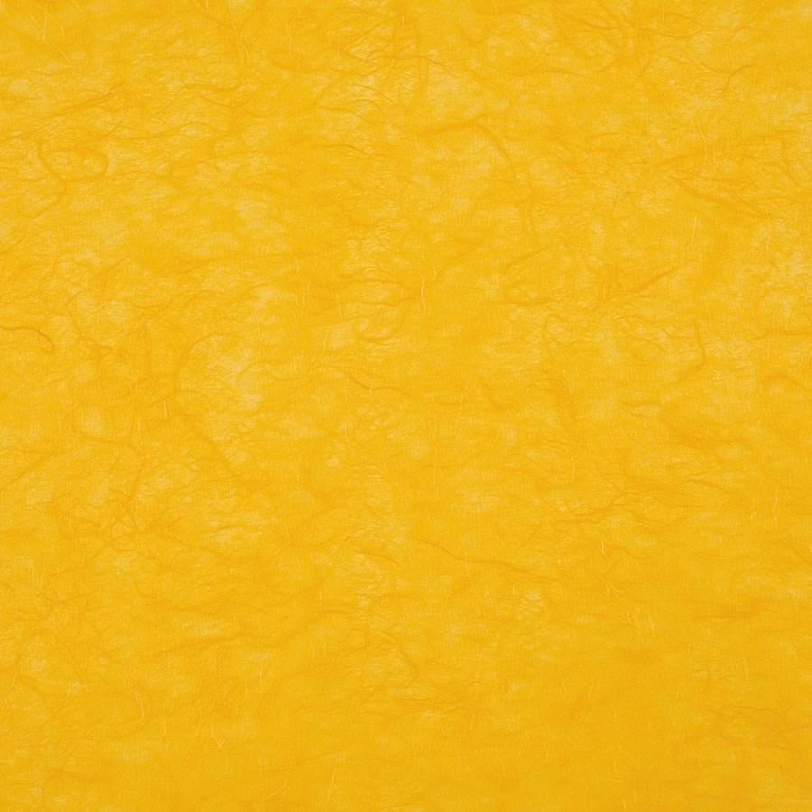 Carta RISO 93x63 56.Arancio f10