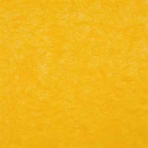 Carta RISO 93x63 56.Arancio f10