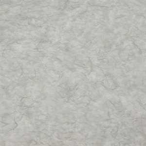 Carta RISO 93x63 80.Grigio f10