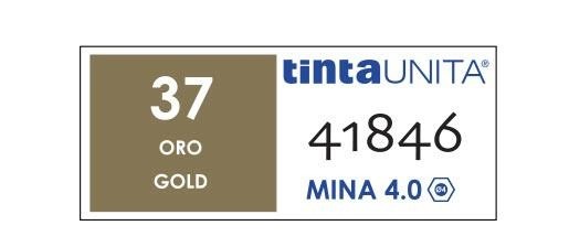 PASTELLI TINTAUNITA MINA 4MM 12PZ ORO 37