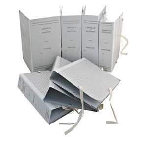 CARTELLA  ARCHIVIO cm35x25 dorso 8   con lacci