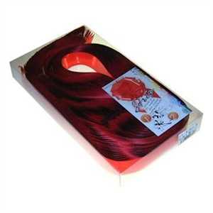 COCCARDE STRIP mm50 pz30 Rosso splendid