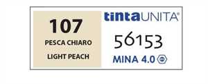 PASTELLI TINTAUNITA MINA 4MM 12PZ PESCA CHIARO 107