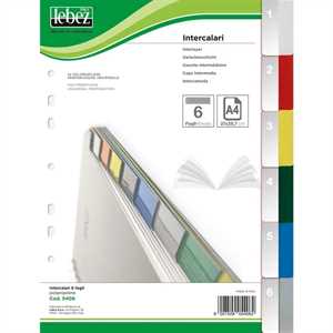 INTERCALARI 6 FOGLI PP LEBEZ