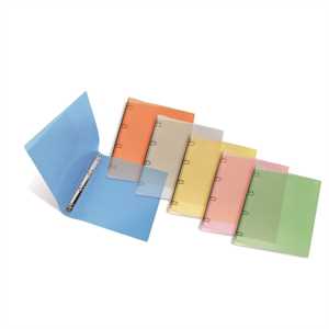 Raccoglitore d16 NEUTRO TRASPARENTE PPL    22X30 ARCHIVIA