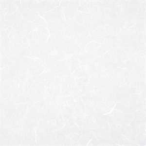 Carta RISO 93x63 00.Bianco f10