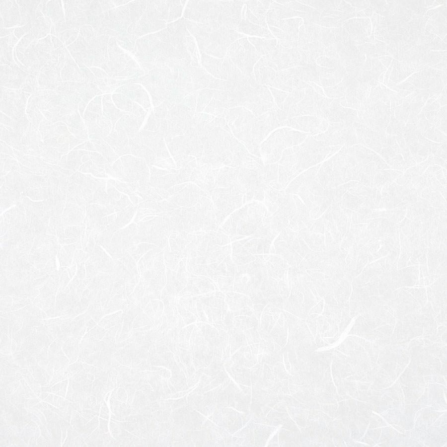 Carta RISO 93x63 00.Bianco f10