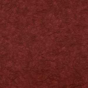 Carta RISO 93x63 25.Bordo' f10