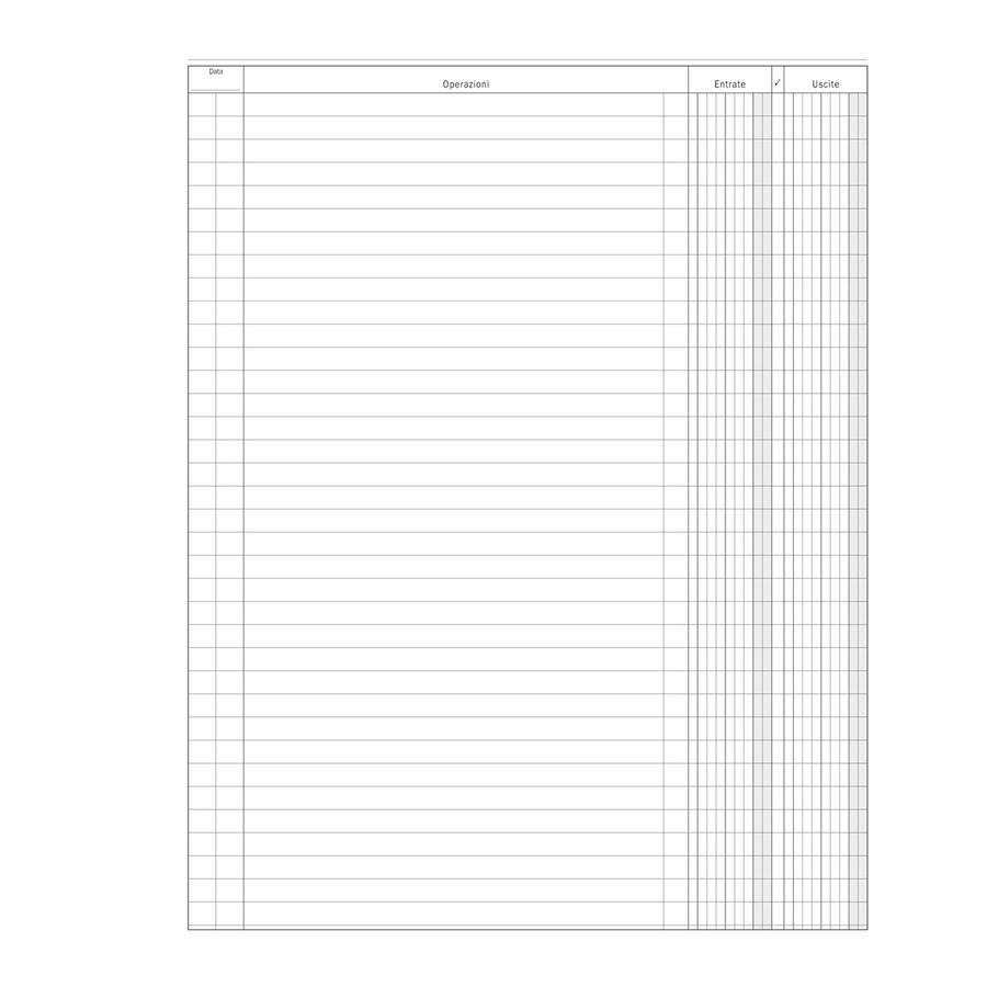 Registro LIBRO CASSA FLEX