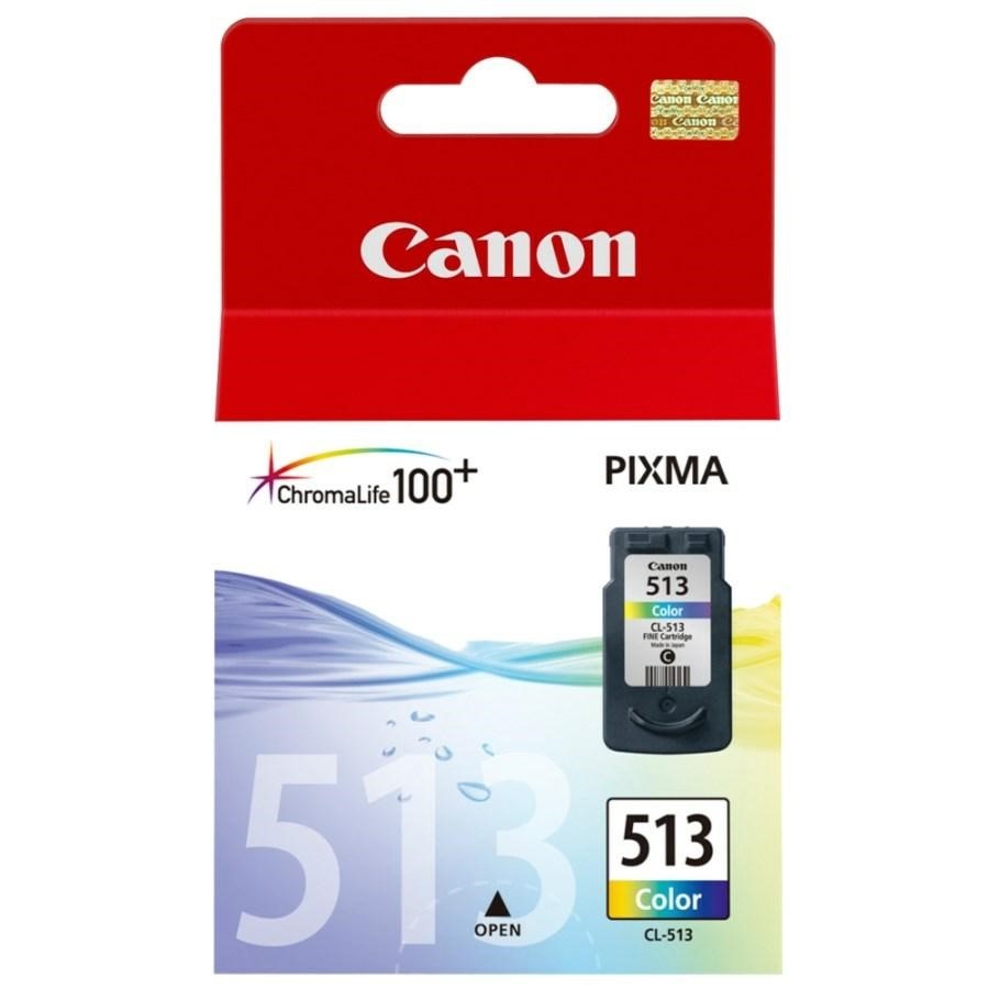 CANON Ink-Jet Color N.513 *2971B004* MP240/260/480 pg349 CL-513C